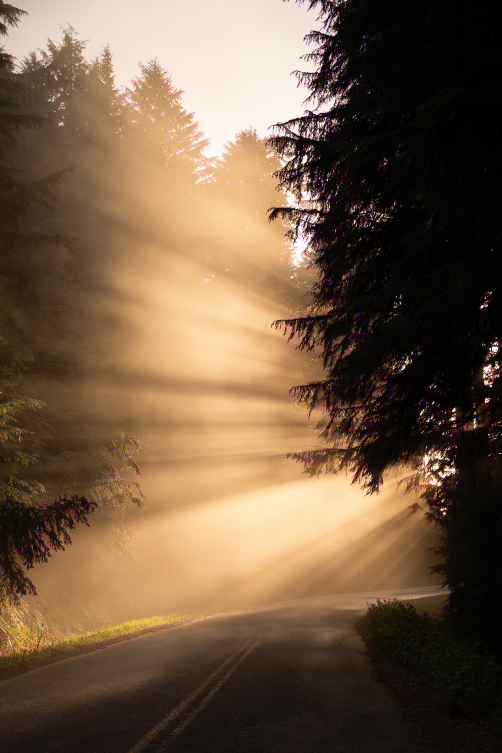Nature photograph 8
