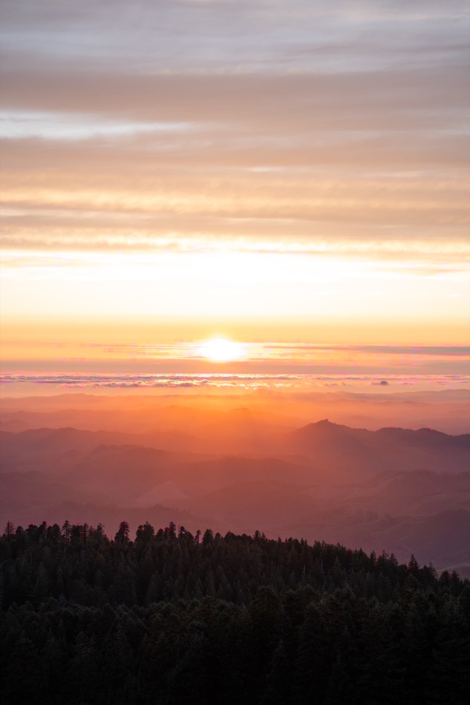 Nature photograph 6