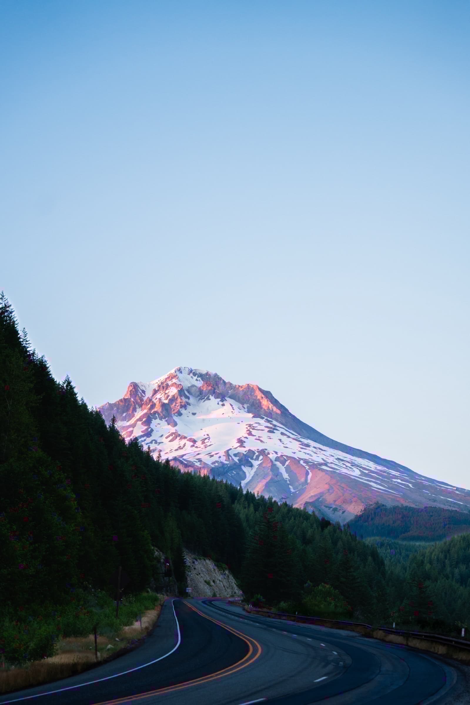 Nature photograph 10