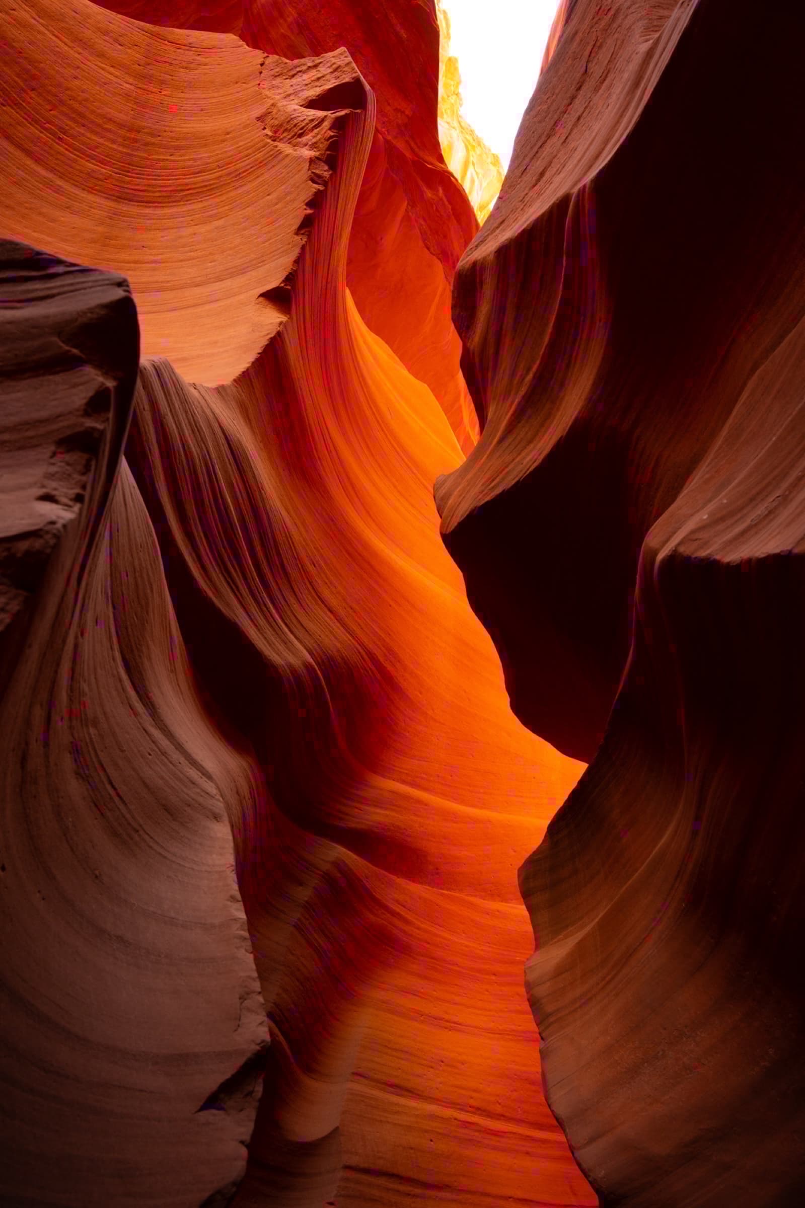 Nature photograph 13
