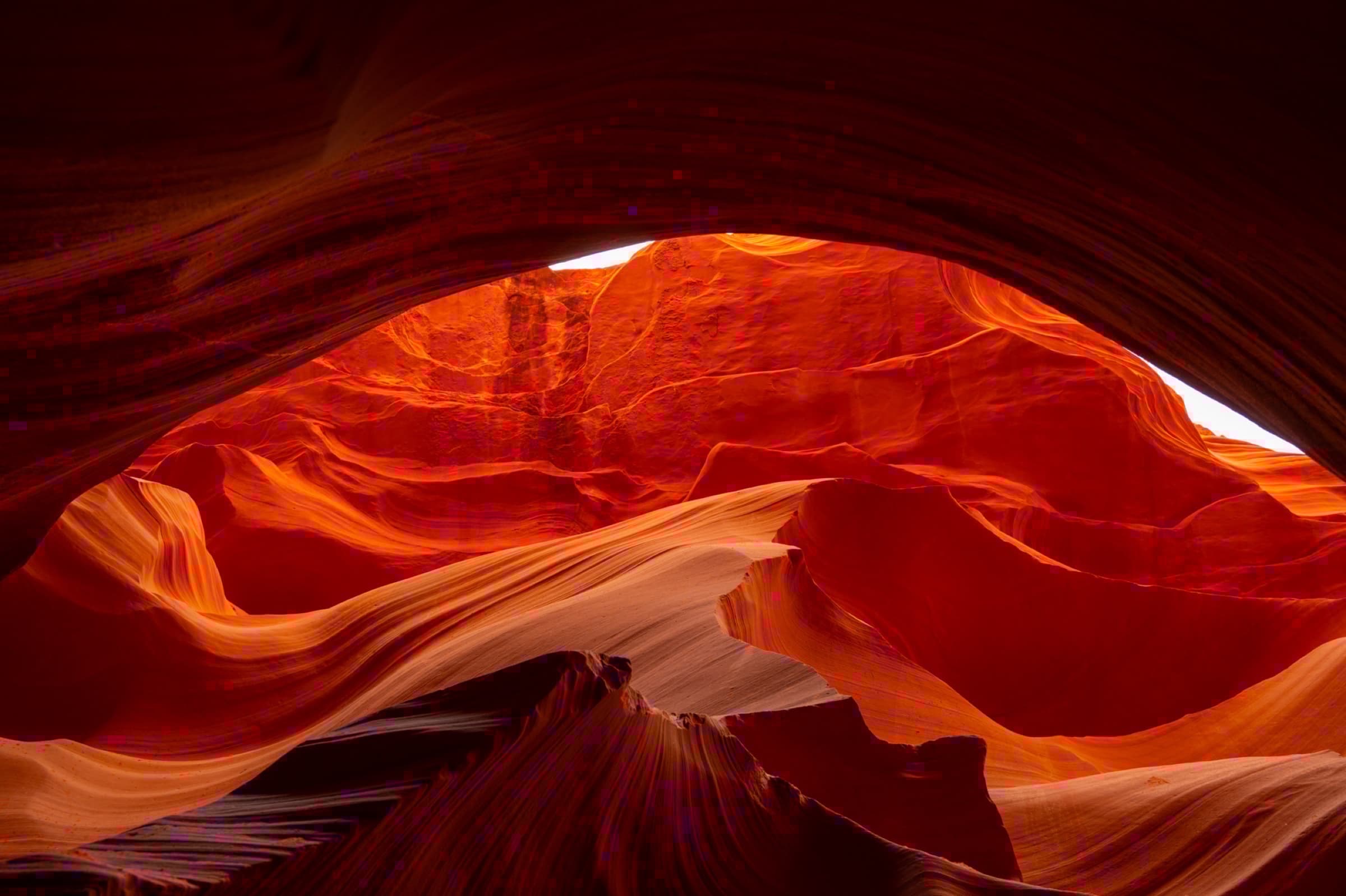 Nature photograph 7