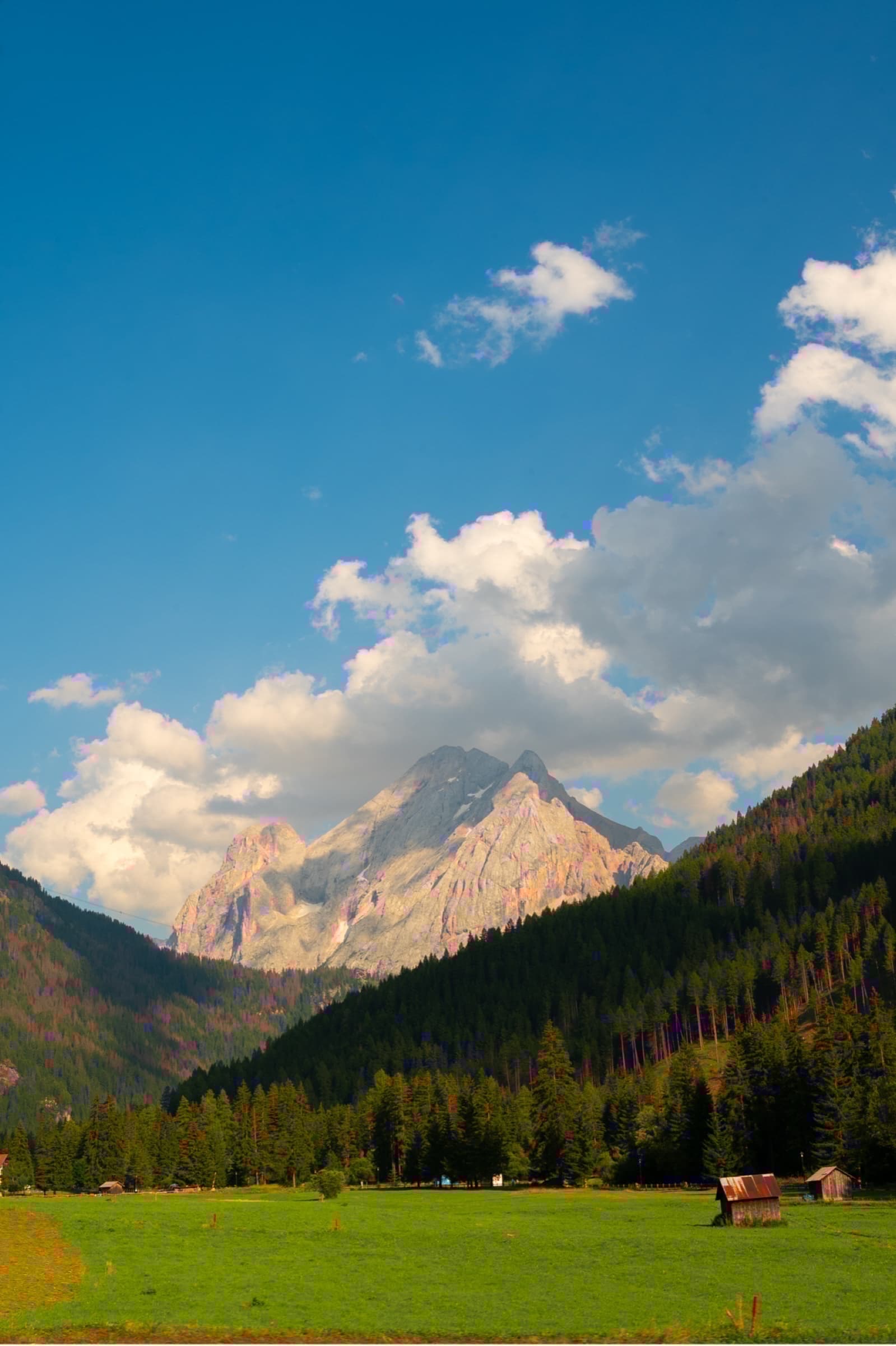 Nature photograph 17