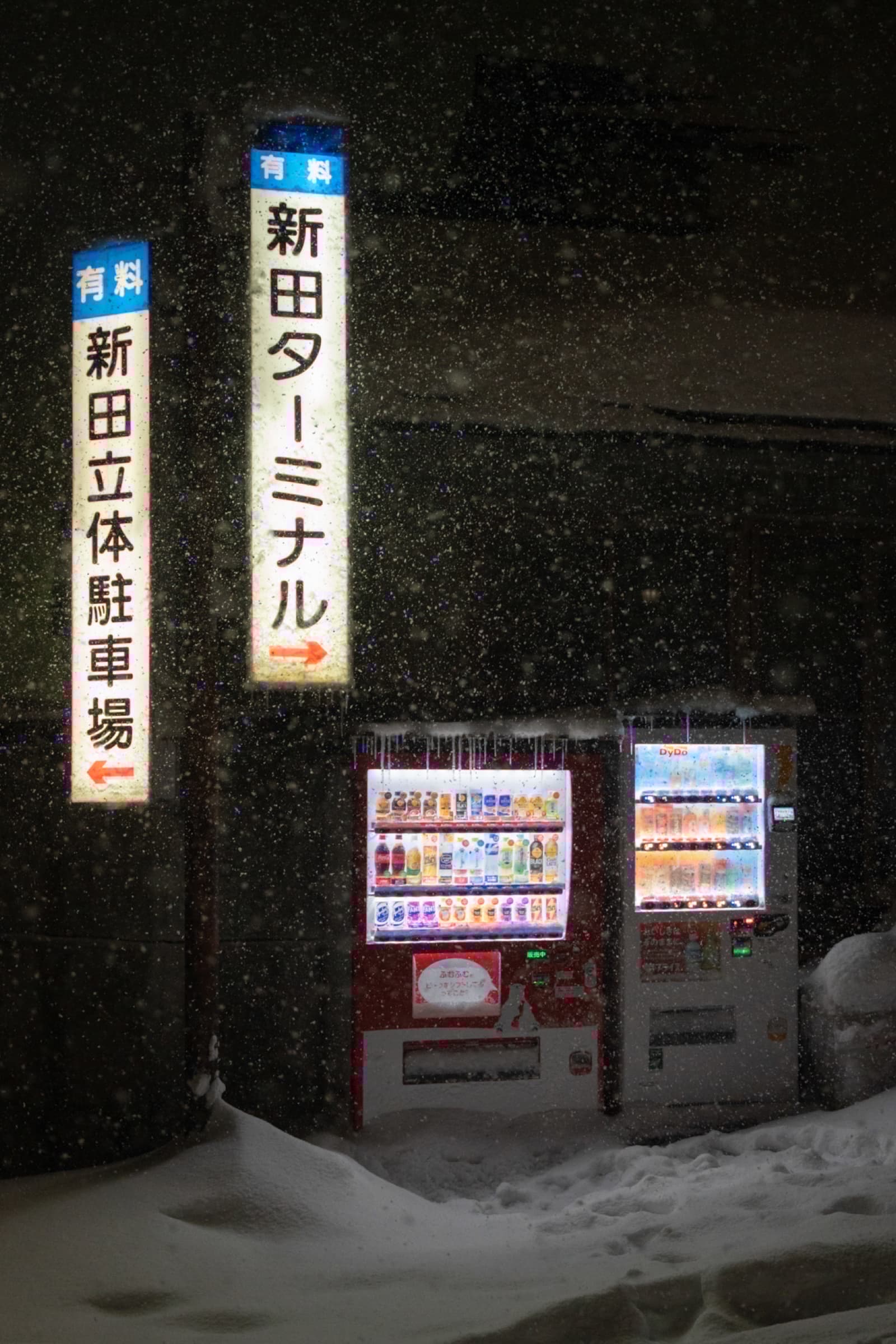 Street photograph 17